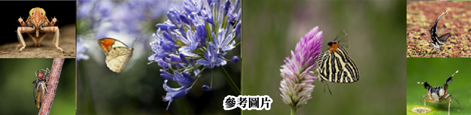 本頁圖片/檔案 - 工作區域 13